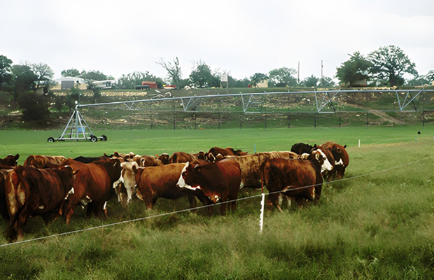 Four-wheel Towable Irrigation Pivot / Sprinkler