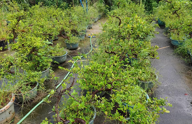 360 degree rotating sprinkler