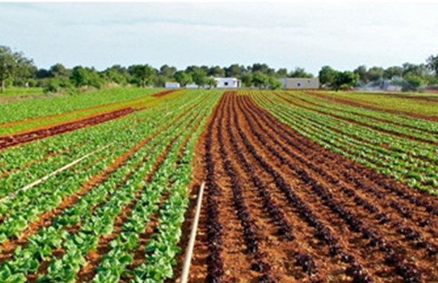 Ball driven plastic nozzle