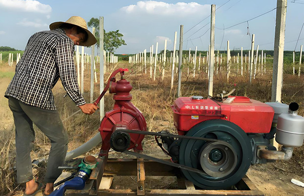 Centrifugal Pump