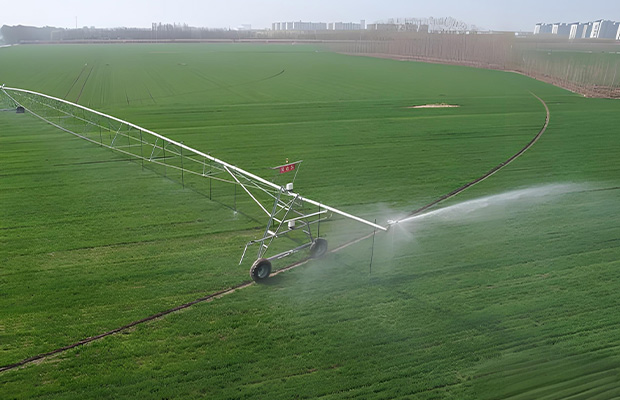  Pointer Type Sprinkler