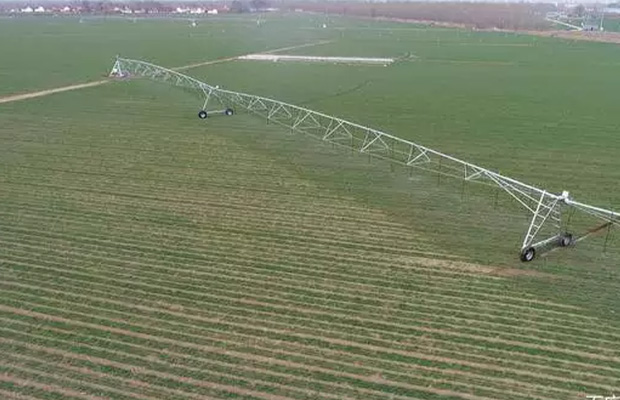  Pointer Type Sprinkler