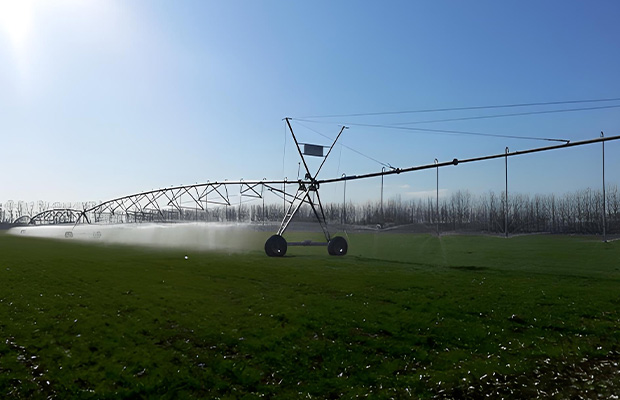  Pointer Type Sprinkler