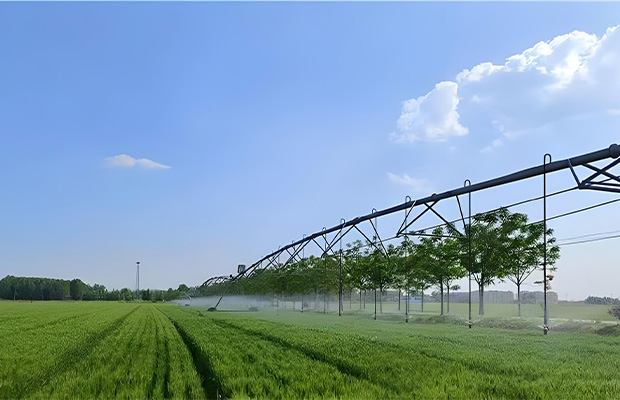  Pointer Type Sprinkler