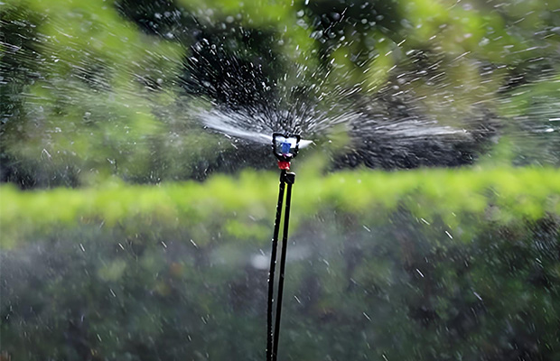 Rotating Micro Sprinkler