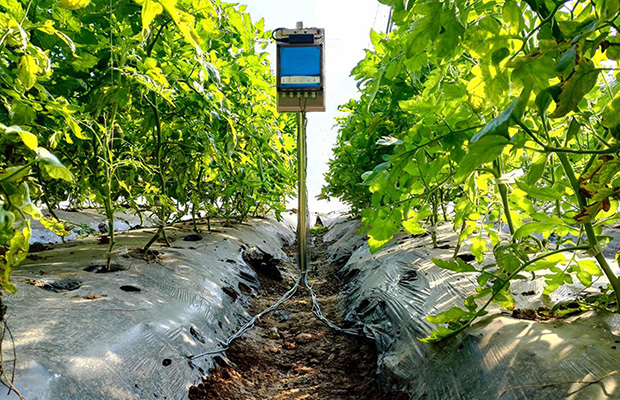 Soil Moisture Sensor