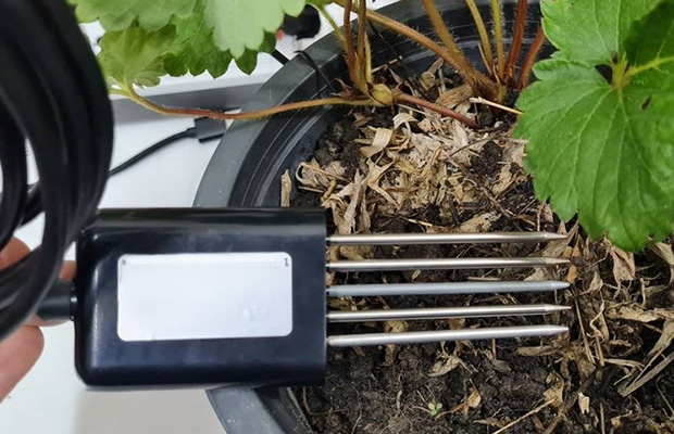 Soil NPK Sensor