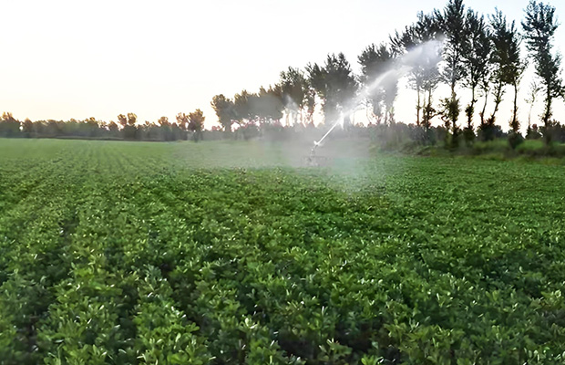 Vertical Rocker Arm and Adjustable Elevation Large Spray Gun