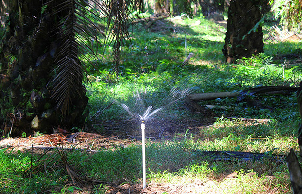 Wobbler Sprinkler