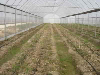 HDPE irrigation pipe used in greenhouses and greenhouses